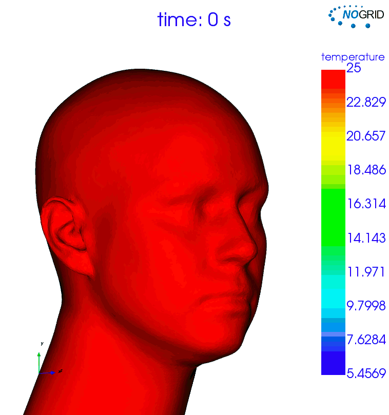 Animation human head cooling - temperature plot over time
