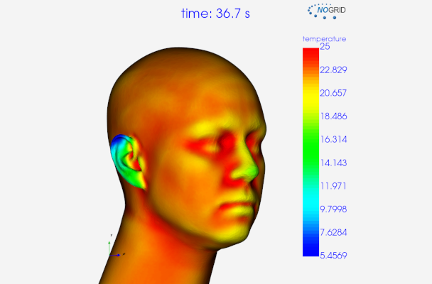 Thermal Analysis Human Head