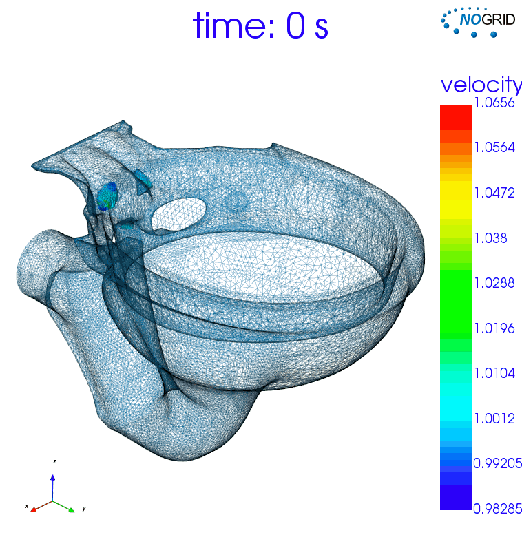Animation Toilettenspülung, berechnet mit NOGRID points CFD Software
